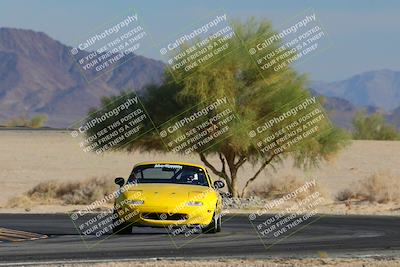 media/Nov-23-2024-Nasa (Sat) [[59fad93144]]/HPDE 1-2/Session 3 Turn 4 Tree of Life/